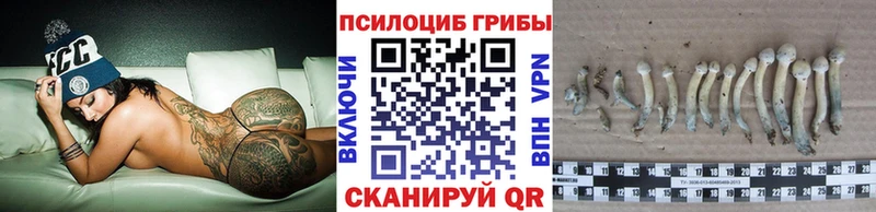 Галлюциногенные грибы прущие грибы  Гаврилов-Ям 